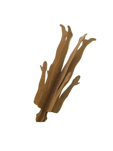 Boddy Gravity Rustic Sculpture - Model # MA1185
