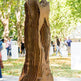 Hollow Tree Sculpture- Estate Sculpture - Outdoor and Indoor Sculpture - Metal Art Decorative Peace | Metal Art Accent - Model # MA1162-Taimco