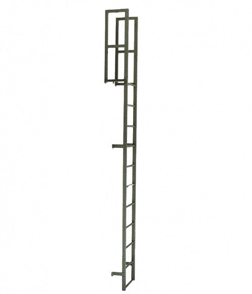 Tubular Rail Low Parapet Access Ladder with Roof over Rail Extensions | Model # SL1480-Taimco