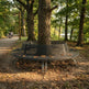 A modern circular metal park bench with a slatted back and seat, positioned around the base of a large tree in a wooded park setting with a path and distant people visible.