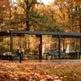 Full product view of modern pergola with slatted roof.