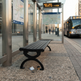 A black slatted bench sits at a city bus stop shelter, with a Route 22 bus visible on the street to the right and transit maps posted on the shelter walls.