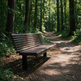 A dark brown wooden park bench with black metal legs sits beside a dirt path in a dense green forest.