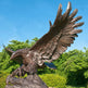 Bronze statue of an eagle in flight with a clear blue sky and green trees in the background
Bronze raptor sculpture perched on a rock with powerful open‑wing stance