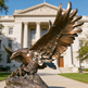 Bronze eagle sculpture in front of a classical building
Dynamic bronze eagle statue capturing a swooping or landing pose