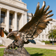 Bronze eagle statue in front of a large building with columns