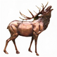 Bronze statue of a deer with large antlers on a white background
Public plazas, cultural centers, and community installations