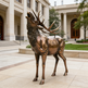 Bronze elk statue in front of a large building with columns
Wildlife parks, museums, and educational institutions