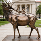 Bronze elk statue in front of a large building with columns
Art galleries and contemporary exhibitions