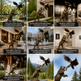 Bronze sculpture of a bear and eagle in various settings