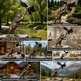 Collage of bronze bear and eagle statues in various settings including parks, museums, and resorts.