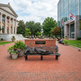 Bronze sculpture of a person draped in a blanket on a bench in an outdoor setting with buildings and trees in the background.
Detailed bronze sculpture of a person resting on a bench with draped coverin