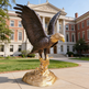 Dynamic eagle sculpture in bronze, wings extended, mounted on a textured golden platform
