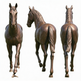 Sculpted bronze horse artwork capturing movement and natural elegance.