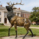 Realistic bronze stag statue featuring textured fur, strong musculature, and expressive posture