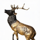 Wildlife bronze artwork of a stag in a dramatic calling pose with rich surface detailing