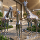 Metallic giraffe sculptures in a modern indoor setting with plants and architectural elements.
Metallic giraffe trio with reflective surfaces and detailed patterns.