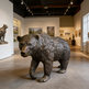 Bronze bear sculpture in a museum setting with other artworks on the walls.