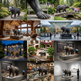 Collage of bear statues and sculptures in various settings including outdoors, indoors, and in front of buildings.
