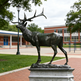Wildlife bronze sculpture of an elk standing tall with prominent antlers and natural body posture
