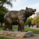Bronze bear statue in a park with people and buildings in the background
