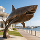 Bronze shark sculpture in front of a house with a marina in the background