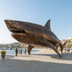 Large shark sculpture on a beach with people in the background