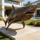 Bronze shark sculpture in front of a modern house with a pool.