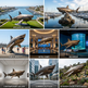 Collage of a shark statue in various locations including waterfront, marina, public beach, hotel lobby, aquarium, contemporary gallery, commercial plaza, and outdoor collector's display.