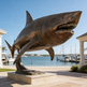 Bronze shark sculpture in front of a marina with boats and clear blue sky.