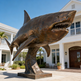 Bronze shark sculpture in front of a house