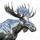 Chrome moose emblem on a white background