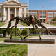 Artistic bronze sculpture of a horse with open rib‑like structure and elongated stylized limbs