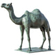 Bronze statue of a camel on a white background