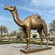 Bronze camel statue in a park with palm trees and a building in the background