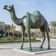 Bronze statue of a camel in an outdoor setting with palm trees and buildings in the background.