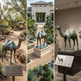 Collage of bronze camel sculptures in various settings with informational plaques.