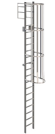 Heavy Duty Metal Cage Ladder With Low Access and Roof over Extension Model SL1492