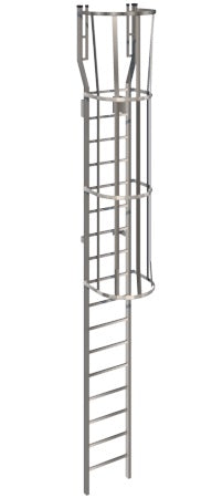 Heavy Duty Metal Ladder With Cage  Low Parapet with Walk Through Rail Extension Model SL1493