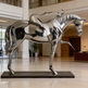 Sleek abstract horse sculpture with reflective finish and a small rider positioned on top