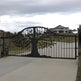 Arboretum | Tree Design Steel Driveway Gate | Model # 087-Taimco