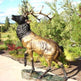 Cast Metal Life-Size Bronze Deer Garden Statue Model # MSC1281-Taimco