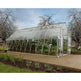 Double Door walk-in Greenhouse - Garden House – Model # SUNR4358-Taimco