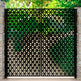 Dragon Scale Garden Gate| Made in Canada – Model # 034-Taimco