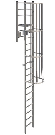Steel Fixed Vertical Ladder with Cage and Rail - SL1481 | Taimco
