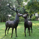 Life Size Bronze Outdoor Deer Statues for Garden Decor Model # MSC1276-Taimco