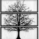 Metal Tree Wall Decor Set - 3 Piece | Laser Cut Art | Made in Canada - Model # WD906-Taimco