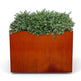 Modern Square Design Steel Planter | Classic Garden Planters Pots for Indoor, Outdoor &amp; Commercial Use| Made in Canada –Model # P601-Taimco