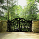 Call of the Wild Steel Driveway Gate | Model #486