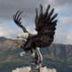 Full-Size Bald Eagle Bronze Statue Model # MSC1232